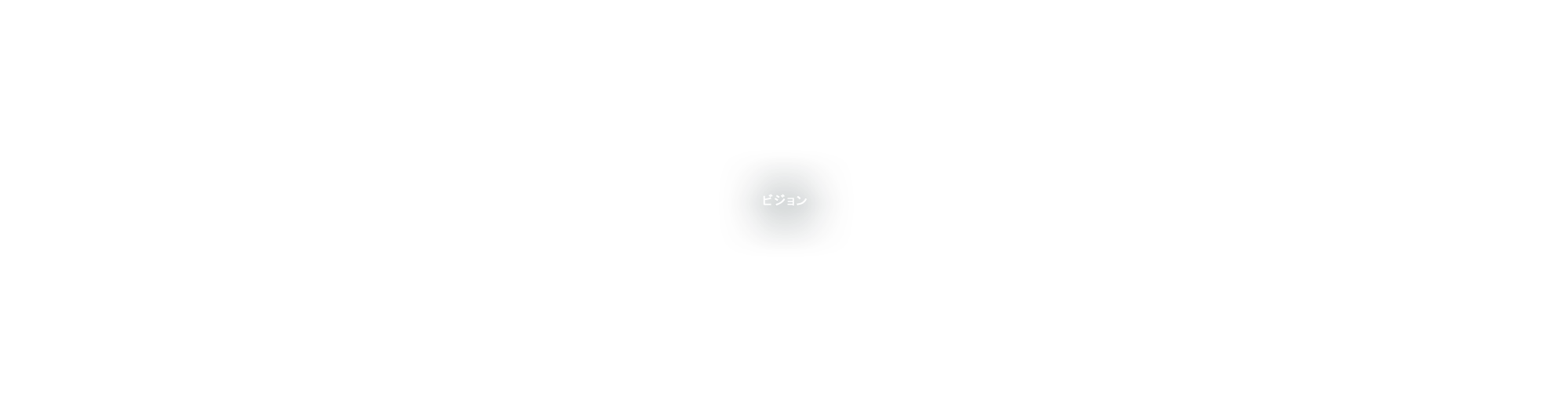 ビジョン（Vision）