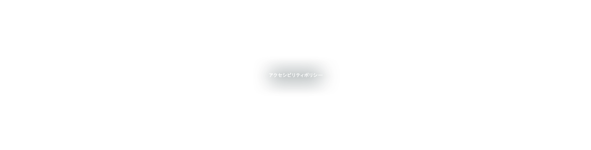 アクセシビリティ